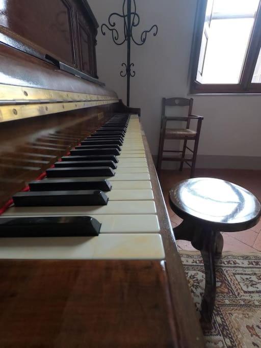 Romantic Suite Pisa Kültér fotó